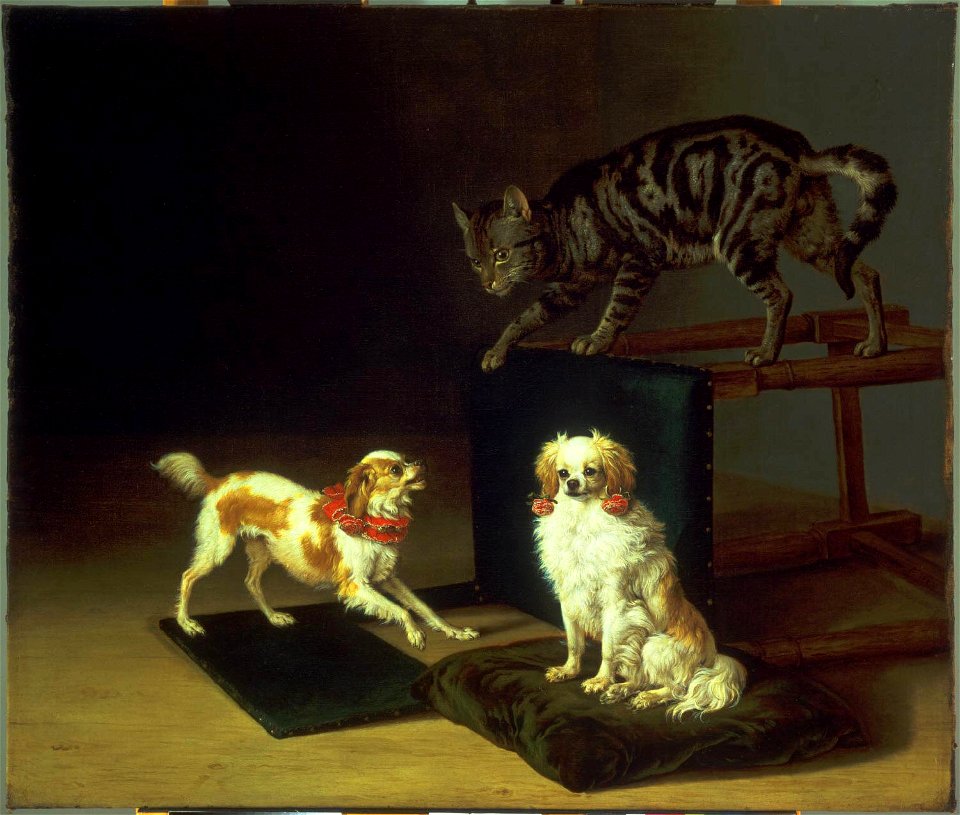 Paulus Potter - Cat Playing with Two Dogs Cat618