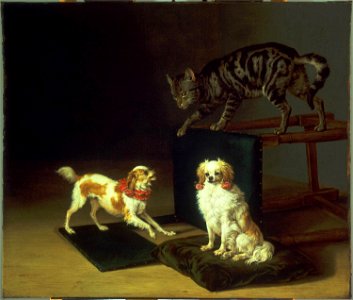 Paulus Potter - Cat Playing with Two Dogs Cat618