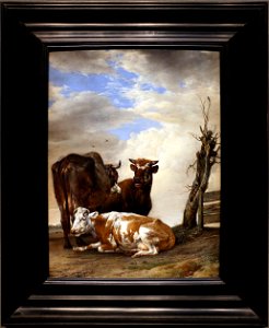 Paulus potter, due mucche e un giovane toro vicino a una staccionata in una pianura, 1647