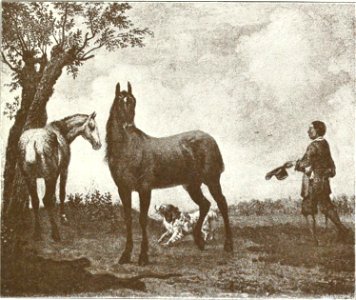 Paulus Potter - The Stadhouder’s Horses 300painti00gale 0135