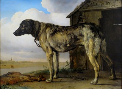Paulus Potter - Wolf-Hound - WGA18220. Free illustration for personal and commercial use.