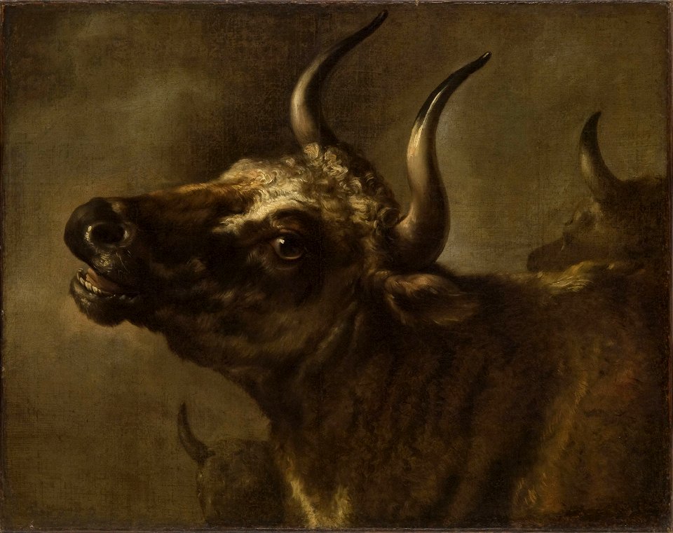 Paulus Potter - Bellowing Bull Cat619