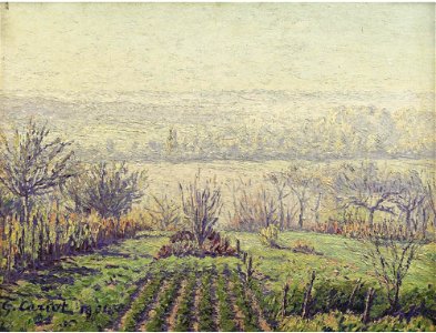 PAYSAGE, BRUME MATINALE 