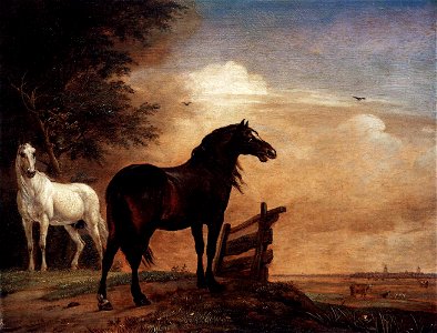 Paulus Potter - Horses in a Field - WGA18209. Free illustration for personal and commercial use.