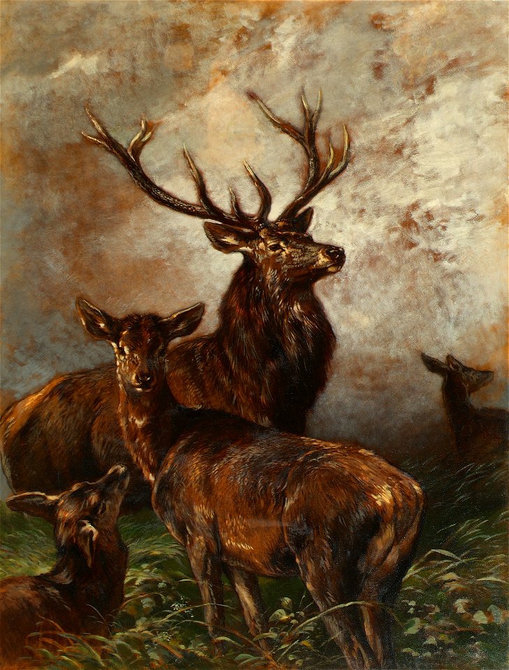 Franz Xaver von Pausinger - Hirsch und Hirschkühe - 186 - Österreichische Galerie Belvedere