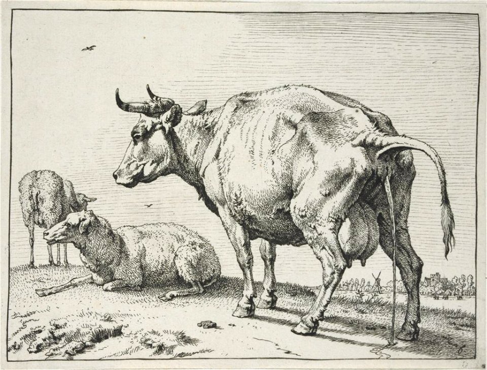 Paulus Potter - The Pissing Cow