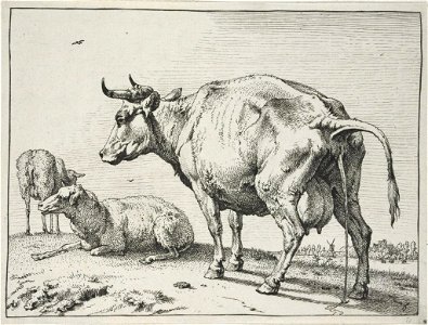 Paulus Potter - The Pissing Cow