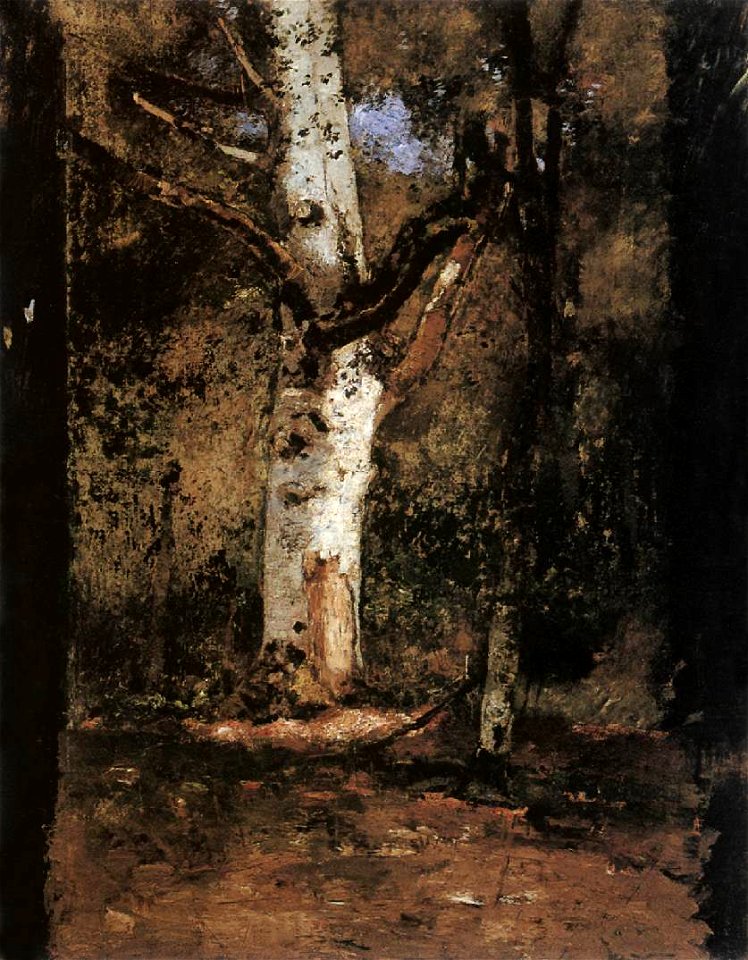 Paál László - 1876 (köröl) - Fa tanulmány