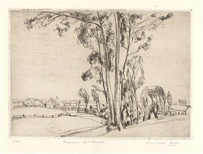 Paysage en Flandre (Etichove), print by Armand Apol (1879-1950), Belgium, (1914), Prints Department of the Royal Library of Belgium, S.IV 109462