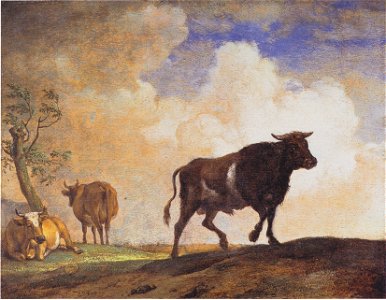 Paulus Potter - Der Stier - 1649
