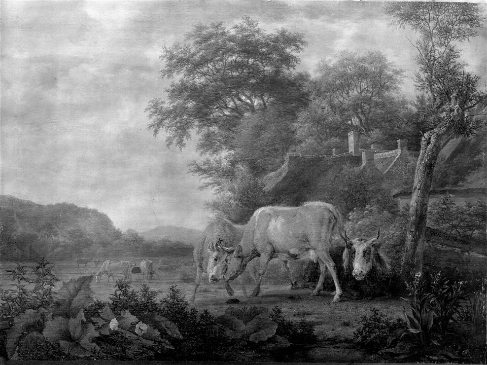 Paulus Potter - Kämpfende Kühe auf der Weide fm64086