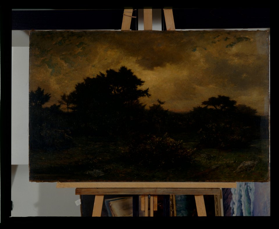 Paysage - Vincent Vidal - musée d'art et d'histoire de Saint-Brieuc, 216