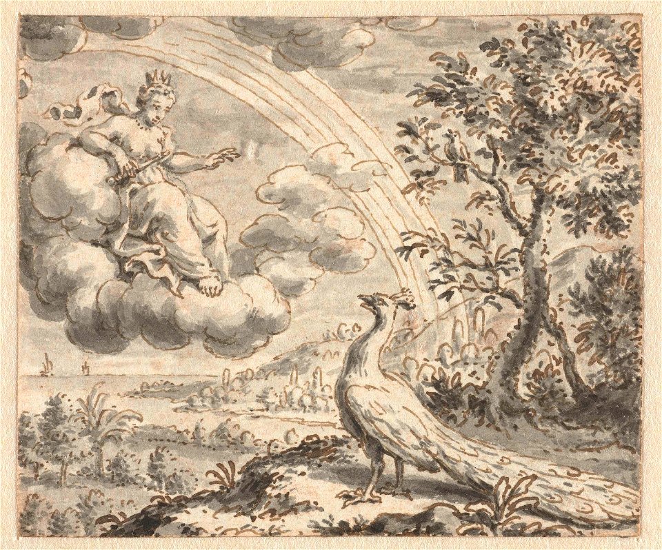 Pauw die zich beklaagt bij Juno