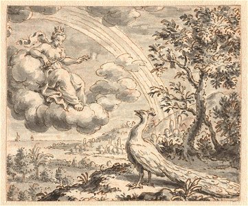 Pauw die zich beklaagt bij Juno