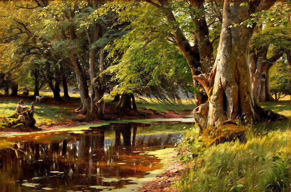 Peder Mønsted - Skogslandskap