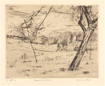 Paysage brabançon, print by Armand Apol (1879-1950), Belgium, (1914), Prints Department of the Royal Library of Belgium, S.IV 109461