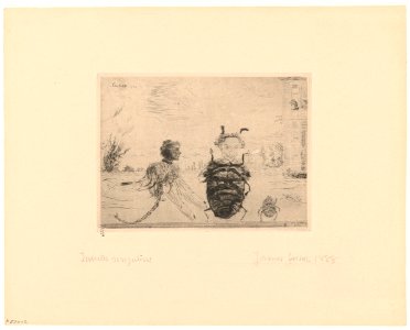 Peculiar Insects, print by James Ensor, 1888, Prints Department, Royal Library of Belgium, F. 27012