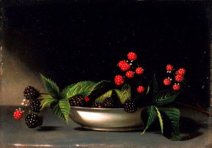 Raphaelle Peale - Blackberries (c.1813). Free illustration for personal and commercial use.