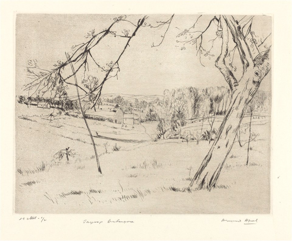 Paysage brabançon, print by Armand Apol (1879-1950), Belgium, (1914), Prints Department of the Royal Library of Belgium, S.IV 109460