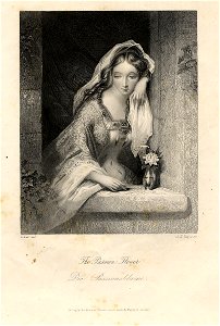 Payne's Universum The passion flower c1840 ubs G 0834 I