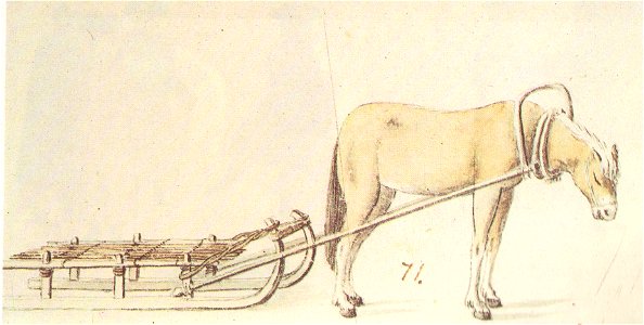 Peasant sleigh-by-Brotze