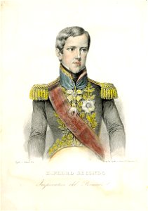 Pedro II of Brazil circa 1842