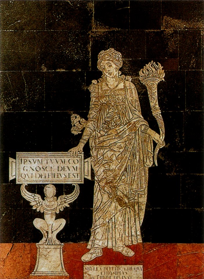 Pavimento di siena, sibilla delfica