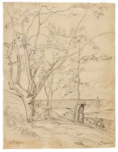 Paysage 