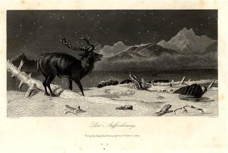 Payne's Universum Die Aufforderung c1840 ubs G 0834 I