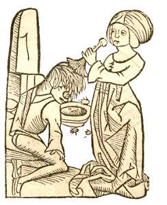 Pediculus-Laus1