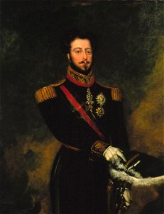 Pedro, Duke of Bragança - John Simpson - Google Cultural Institute
