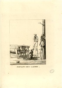 Paysans des Landes - Fonds Ancely - B315556101 A PELERIN 045