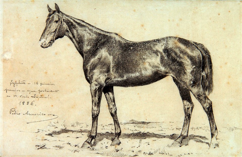 Pedro Américo - Silfide - Estudo, Acervo do Museu Paulista da USP (cropped)