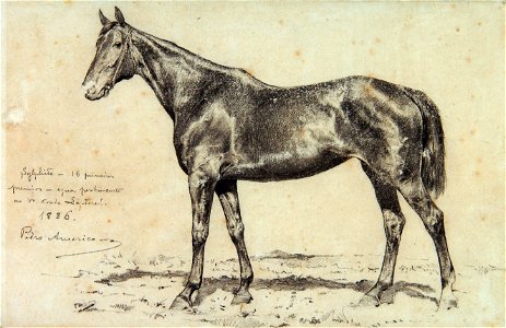 Pedro Américo - Silfide - Estudo, Acervo do Museu Paulista da USP (cropped)