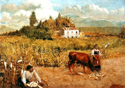 Pedro Weingärtner - Milharal em Santa Marta, Portugal - 1909