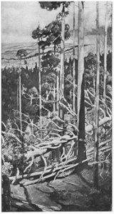 Pekka Halonen Ödemarkslandschaft