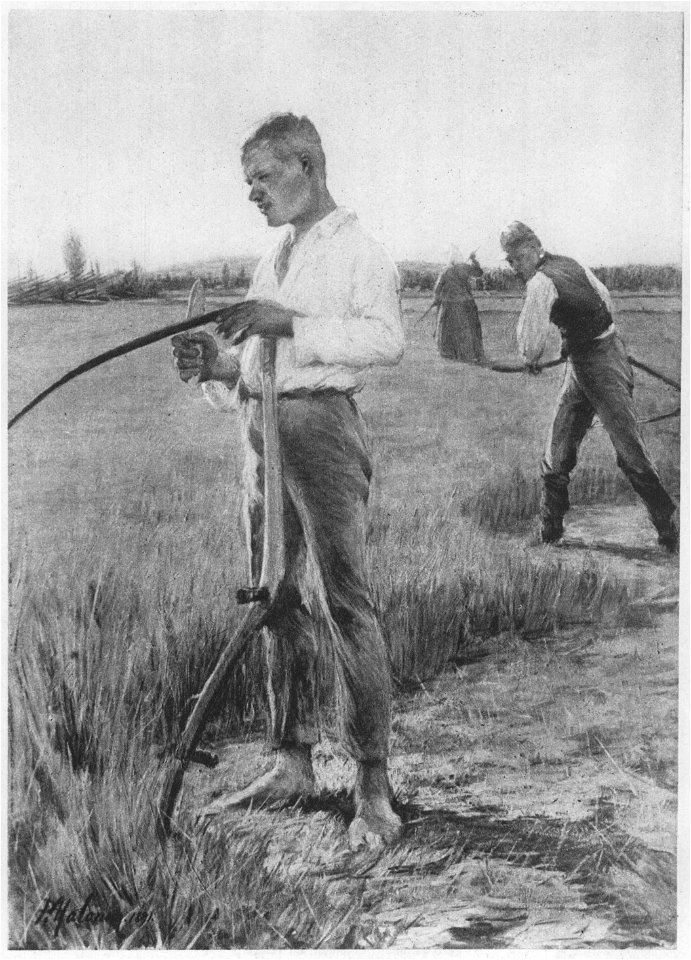 Pekka Halonen Schnitter