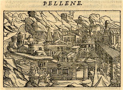 Pellene - Gerbelius Nicolas - 1545