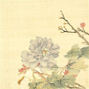 Peonies - Li Peiyu