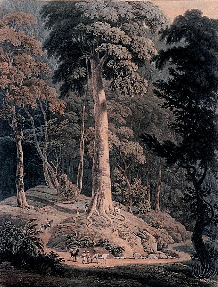 Penang Museum historical painting L135b