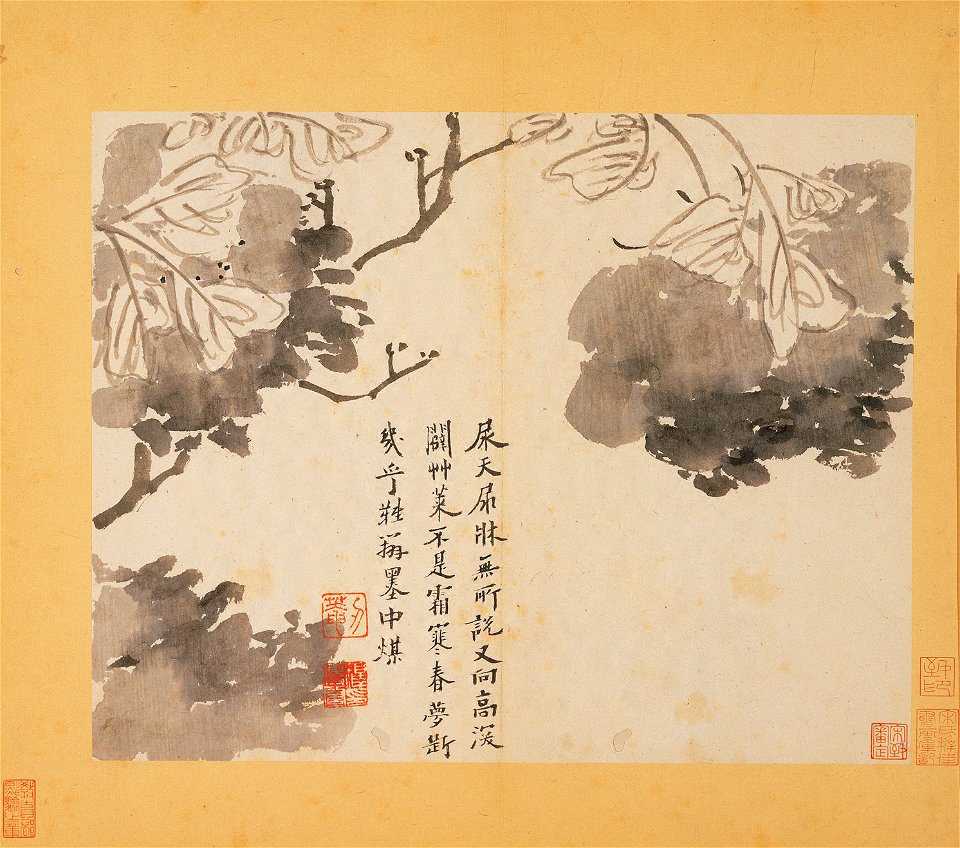 Peonies, Chuanqi