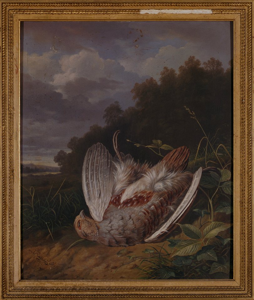 Perdrix-grise-raspail-fils-musee-d-art-et-d-histoire-de-saint-brieuc-doc-63-cropped