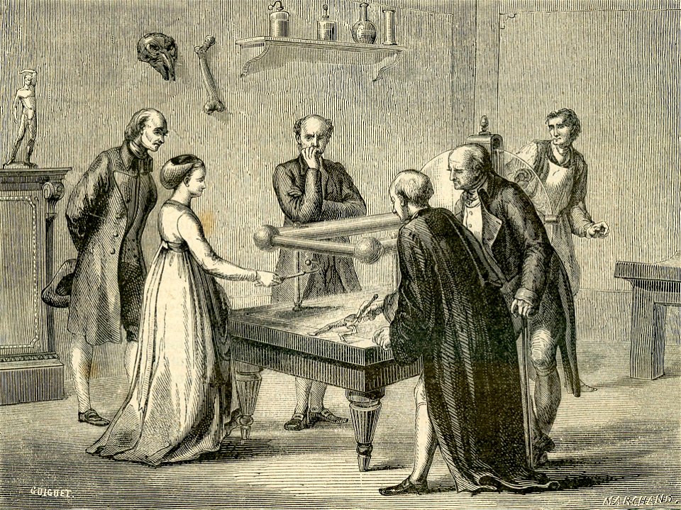 Per il centenario di Galvani