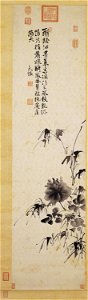 Peony-Xu Wei