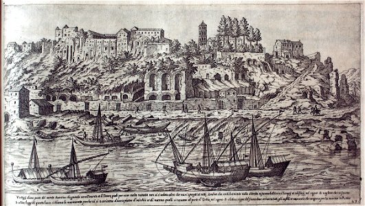 Peracvestigi157524