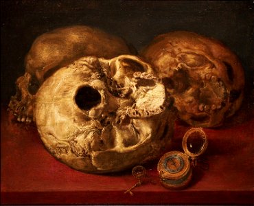 Pereda Vanitas Zaragoza