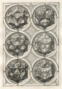 Perspectiva Corporum Regularium 23