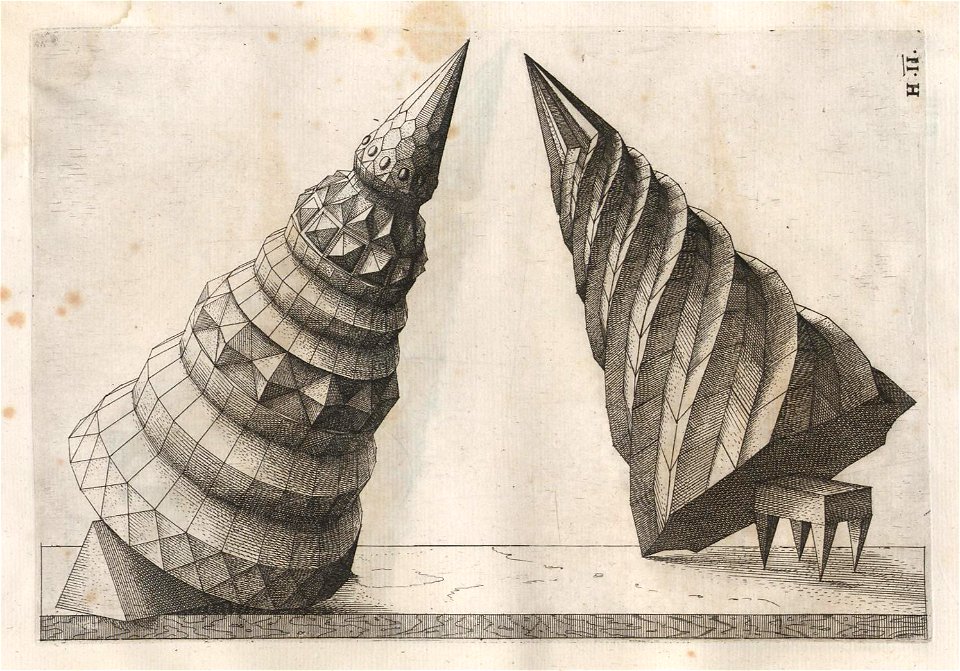 Perspectiva Corporum Regularium 49