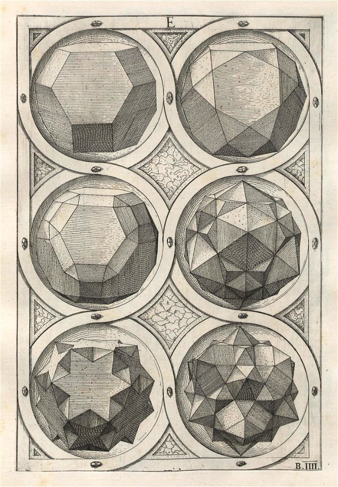 Perspectiva Corporum Regularium 15