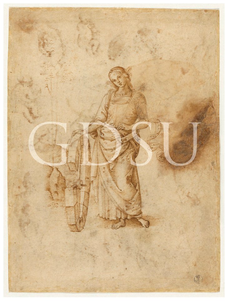 Perugino - copia da - inv 408 E r.